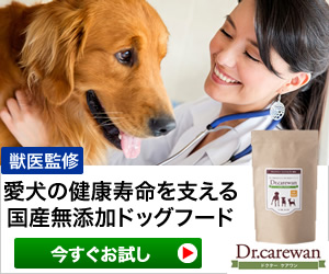 Dr.ケアワン