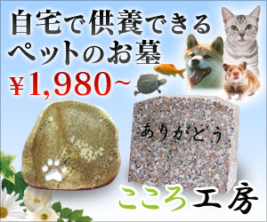 ペットフードとペットグッズのおすすめプログラム｜PET STONE