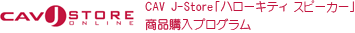 CAV J-Storeun[LeBXs[J[viwvO